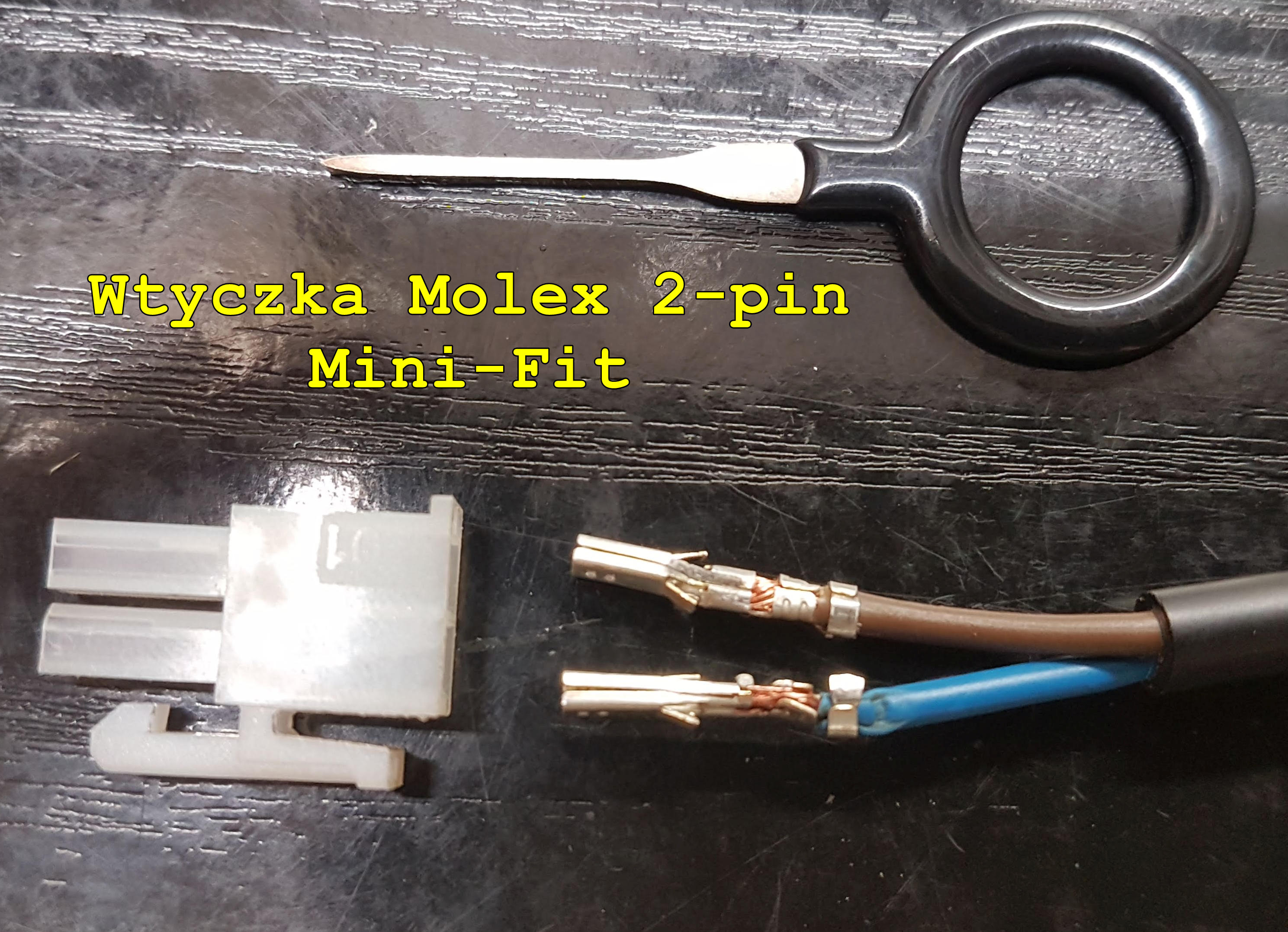 Wtyczka Molex 2-pin Mini-Fit.jpg